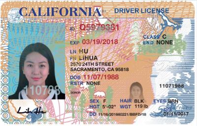 California driver's license manuscript